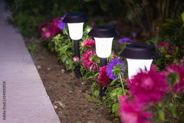 Fototapeta Burning Lamps With Flowers In Summertime At Evening.