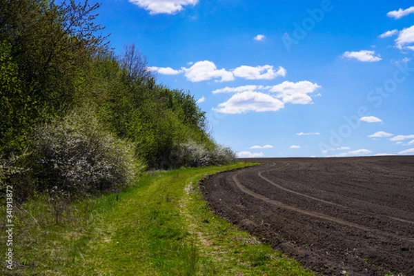 Obraz landscape with blue sky and clouds