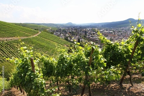 Fototapeta Auweiler 3