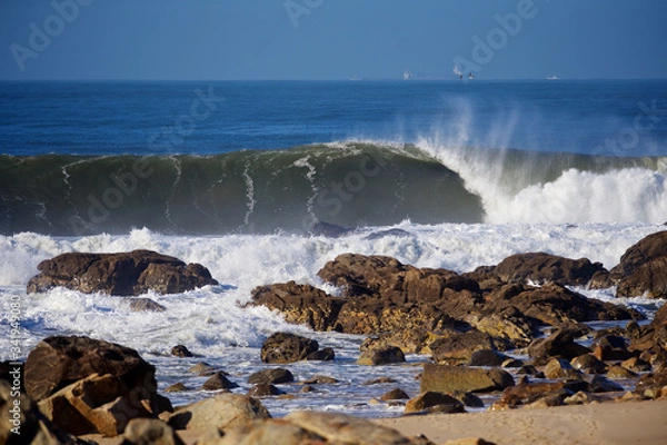Obraz Ilha de Salgueiros