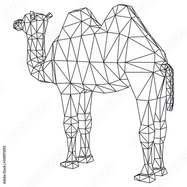 Fototapeta Camel cartoon lines illustration. Abstract vector camel on the white background