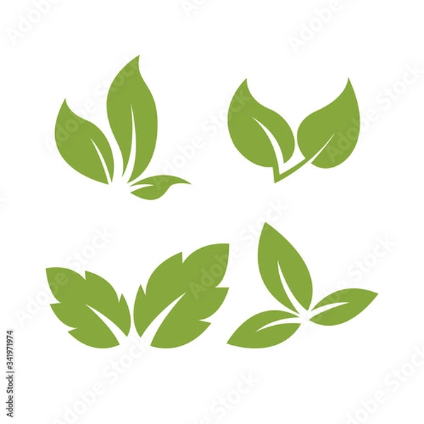 Fototapeta Set of green leaves. Simple flat vector illustration