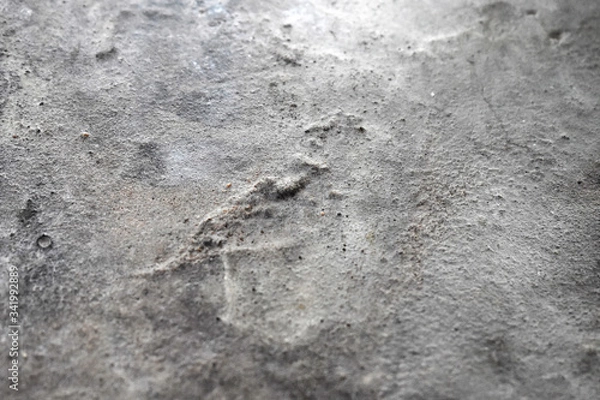 Fototapeta stone wall texture