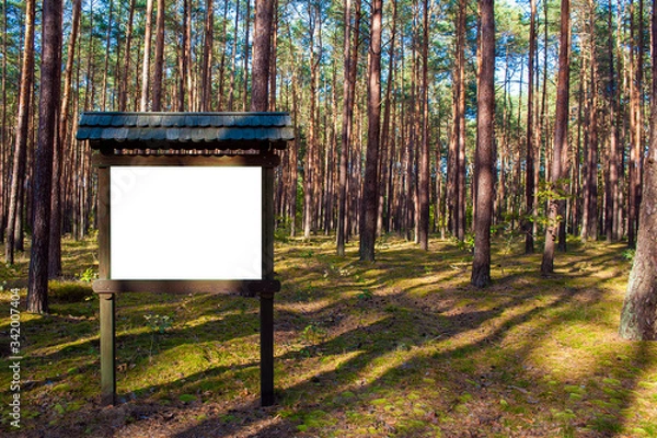Obraz Blank white information board in the forest. Sunny autumn day