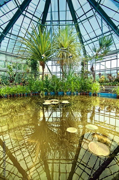 Obraz Greenhouse interior