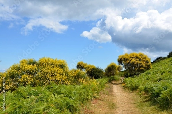 Fototapeta Belle-Ile