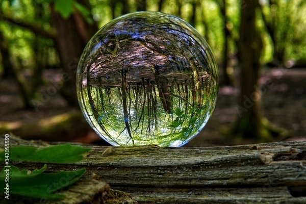 Obraz Lens Ball in the woods