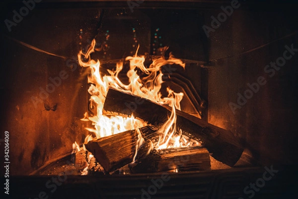 Obraz fire in the fireplace
