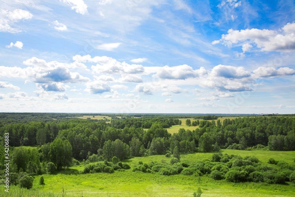 Fototapeta summer landscape