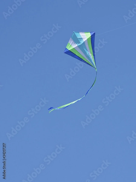 Obraz Kite Flying