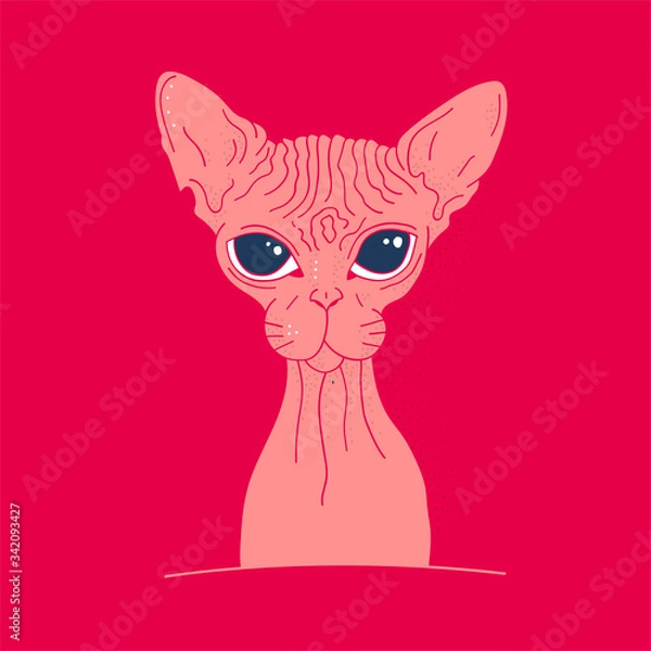 Obraz Pink sphinx cat. Portrait. Layout for t-shirts and prints. Doodle style. Freehand drawing in the modern style. Vector illustration.