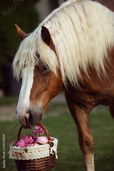 Obraz Schwarzwälder