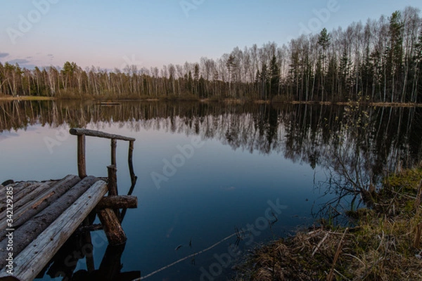 Fototapeta Forest lake