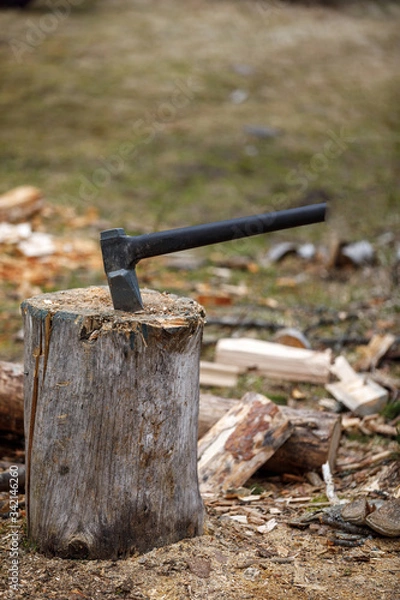 Obraz an axe in a tree. Tool for a shot of firewood