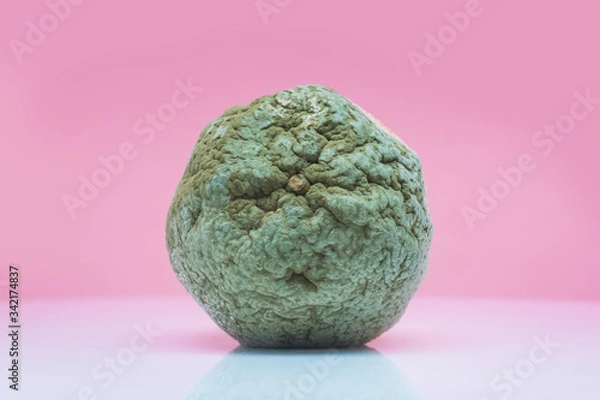 Obraz Not fresh, rotten grapefruit, moldy and rotten orange. Summer and seasonal spoiled fruits that should not be consumed. Health care.