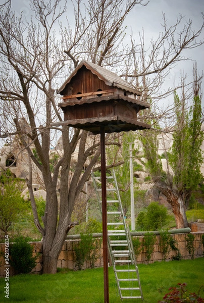 Obraz Large birdhouse on a tree background