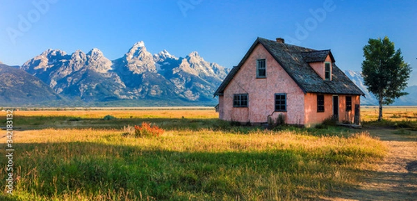 Obraz Old Pink House