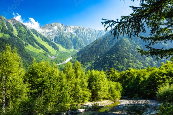 Obraz 上高地(日本で有名な観光地)の夏