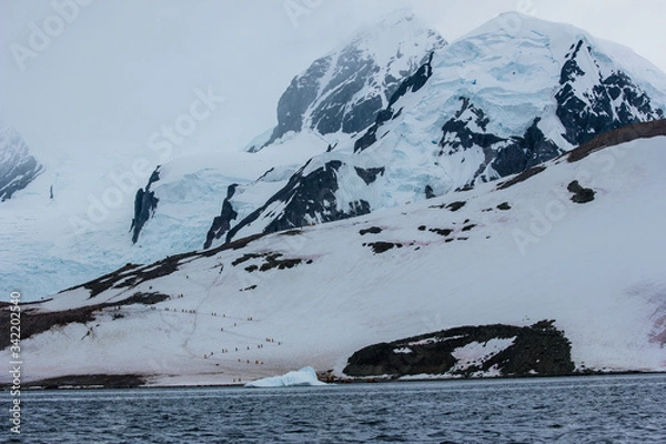 Obraz snow covered mountains