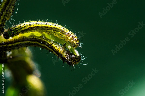 Obraz Comienzo y Fin