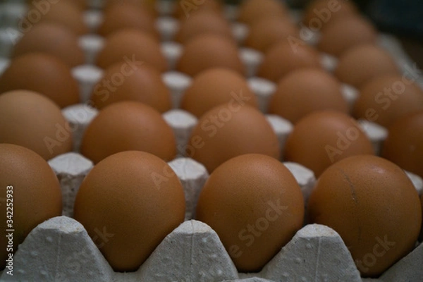 Fototapeta Skleaden in a row of eggs on a tray with brown shell