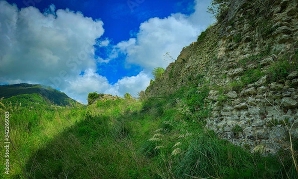Fototapeta The medieval castle of Aiello Calabro, south Italy.
