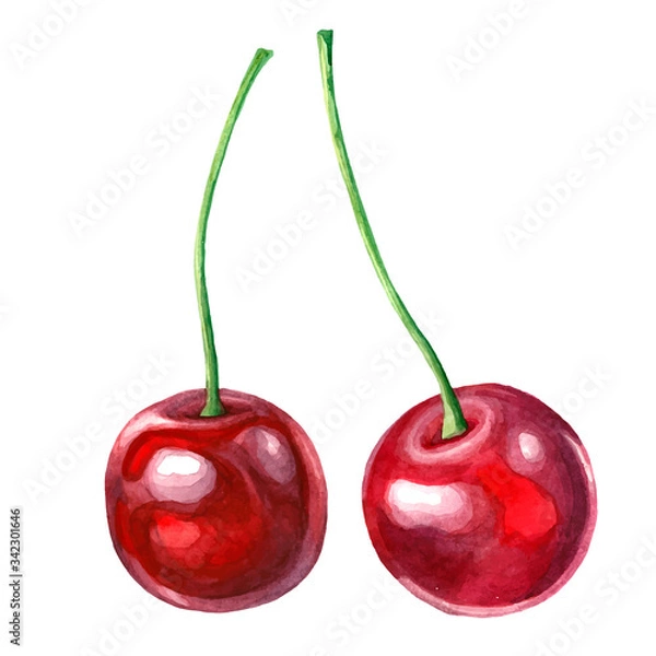 Obraz Illustration of two cherries