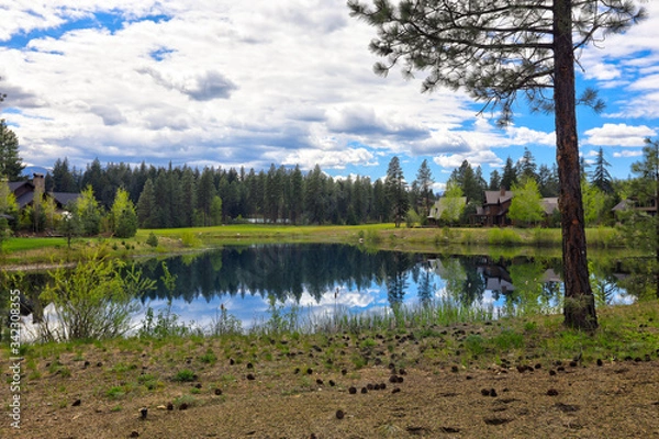 Fototapeta Pond and pine forest with houses around it during cloudy day.