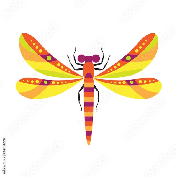Obraz dragonfly