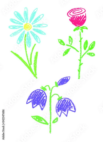 Obraz vector wildflowers rose daisy bellflower