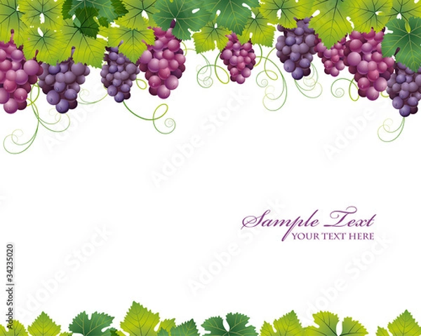 Fototapeta grape background