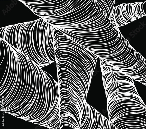 Obraz vector abstract black and white texture