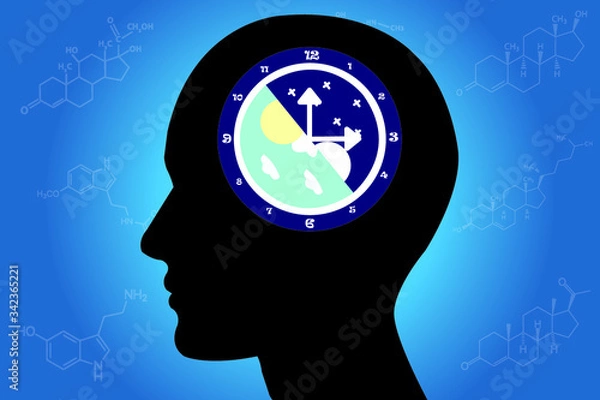 Obraz The circadian rhythms are controlled by circadian clocks or biological clock these clocks tell our brain when to sleep, tell our gut when to digest and control our activity in several day.