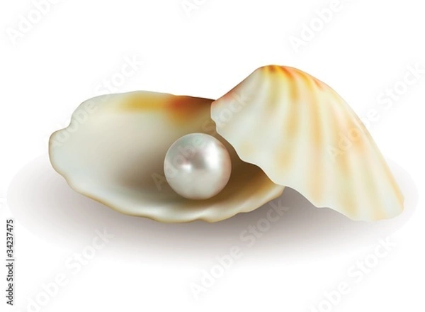 Obraz pearl in shell