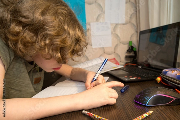 Obraz Distance learning online education. A home distance learning.