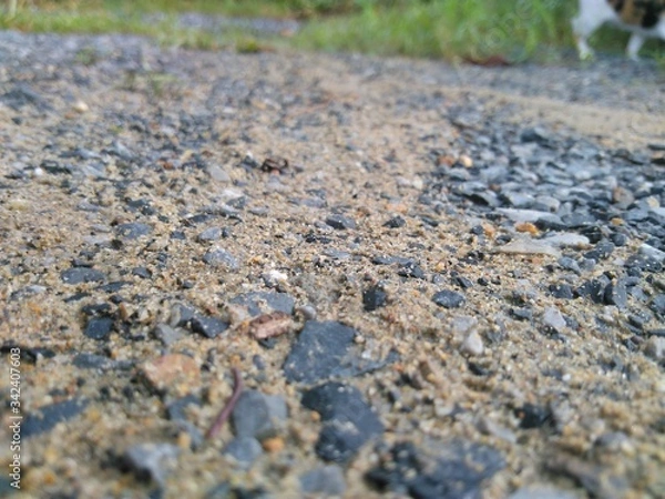 Obraz stone in the sand background