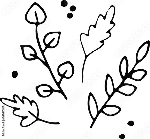 Obraz Mini set of hand drawn branch and leaves. Doodle vector illustration. Graphic elements. Botanical illustration.