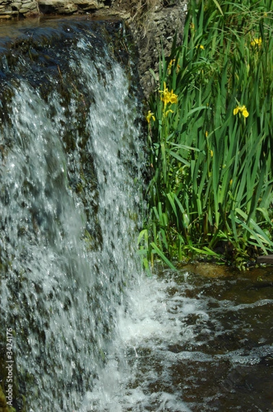 Obraz waterfall and flowers
