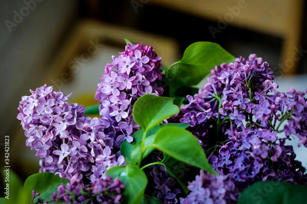 Fototapeta Shallow depth of field (selective focus) and macro image with purple lilac flowers.