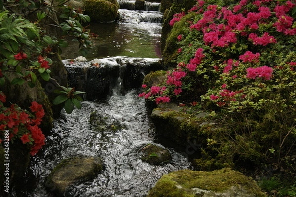 Obraz waterfall in the park