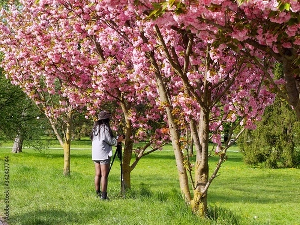 Obraz OLYMPUS DIGITAL CAMERA