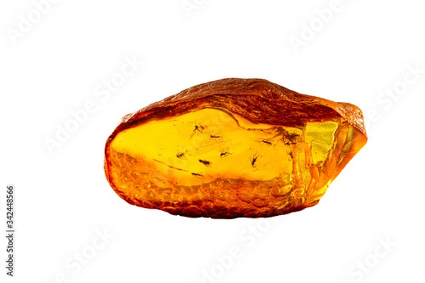 Fototapeta A magnificent piece of Baltic amber with prehistoric flies and insects that are many millions of years old. Isolated on white background. 
