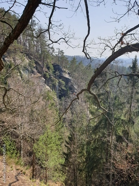 Fototapeta tree in the mountains
