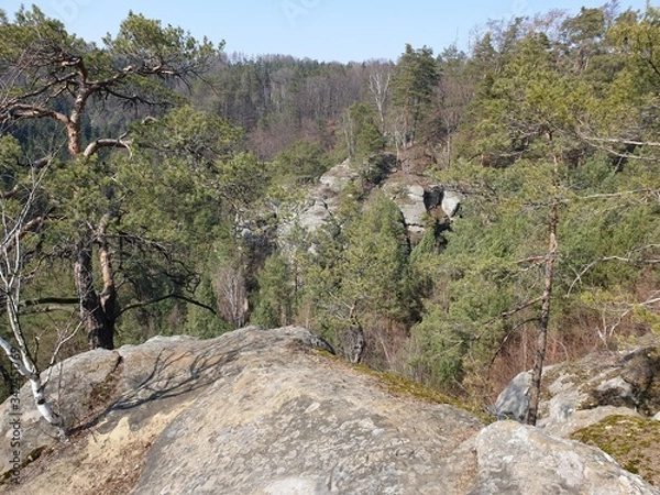 Obraz black and white storks