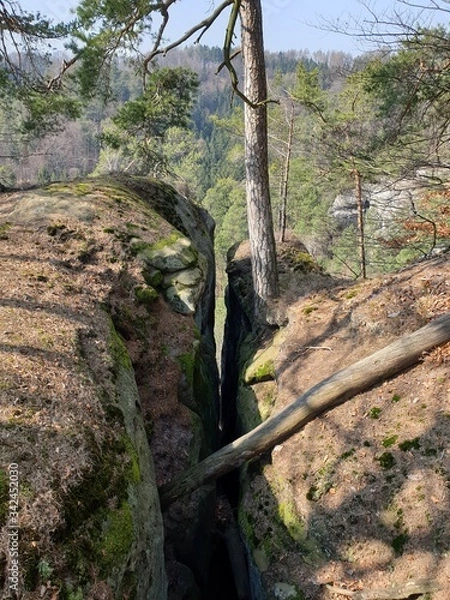 Obraz waterfall in the forest