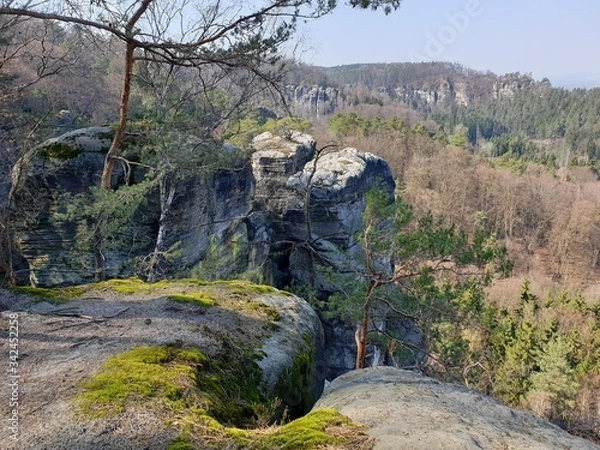 Obraz rocks and trees
