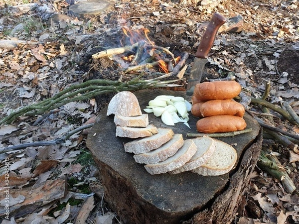 Obraz mushrooms on the rocks