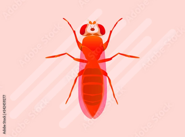 Fototapeta Drosophilidae flies Flat Vector Icon Illustration with Gradient Color