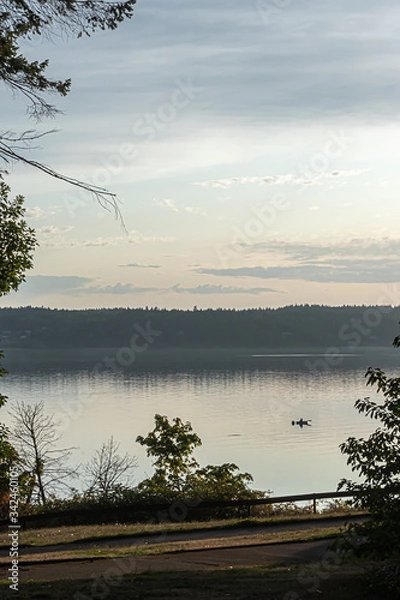 Obraz sunlight streaming through the trees near sunset