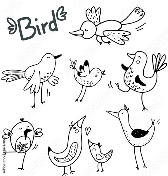 Fototapeta Birds set in vector. Black and white cute illustration.